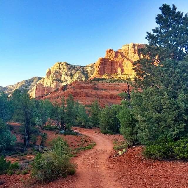 Hiking trail winding through trees alongside a mountain side