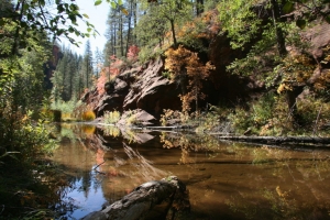 a stream winds through a narrow, forested canyon