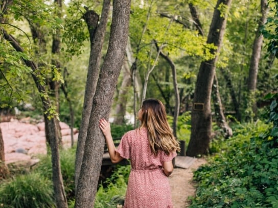 A woman in a pink floral dress, seen from behind, walks on a path through a lush, sunlit forest.