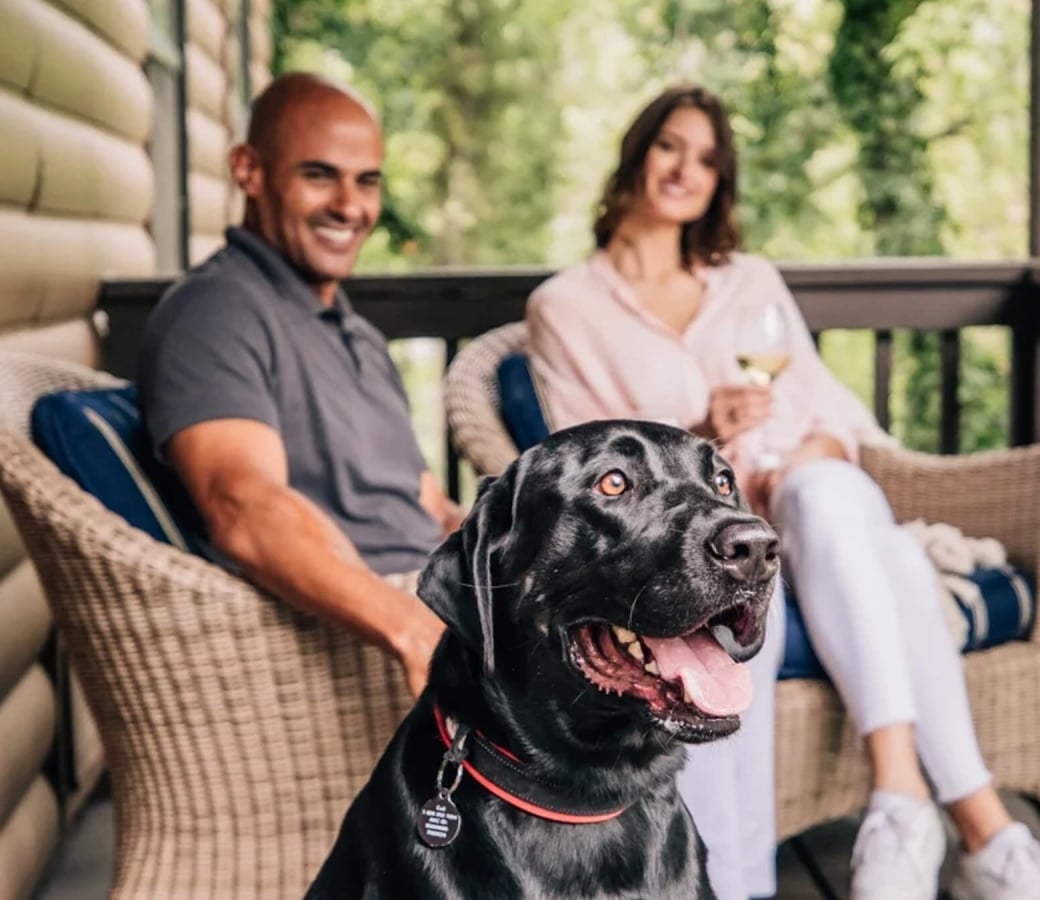 Happy black lab sitting in front of couple on room balcony