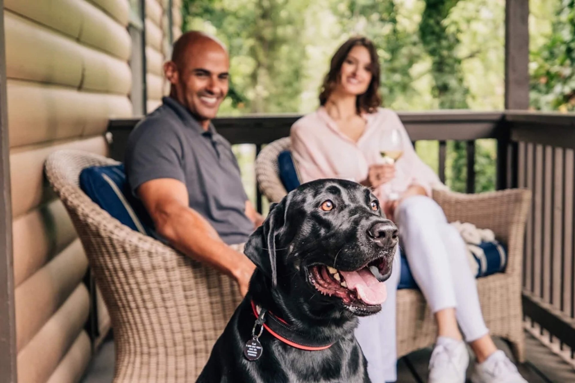 Happy black lab sitting in front of couple on room balcony