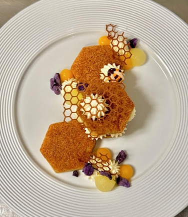 Holistic Experiences