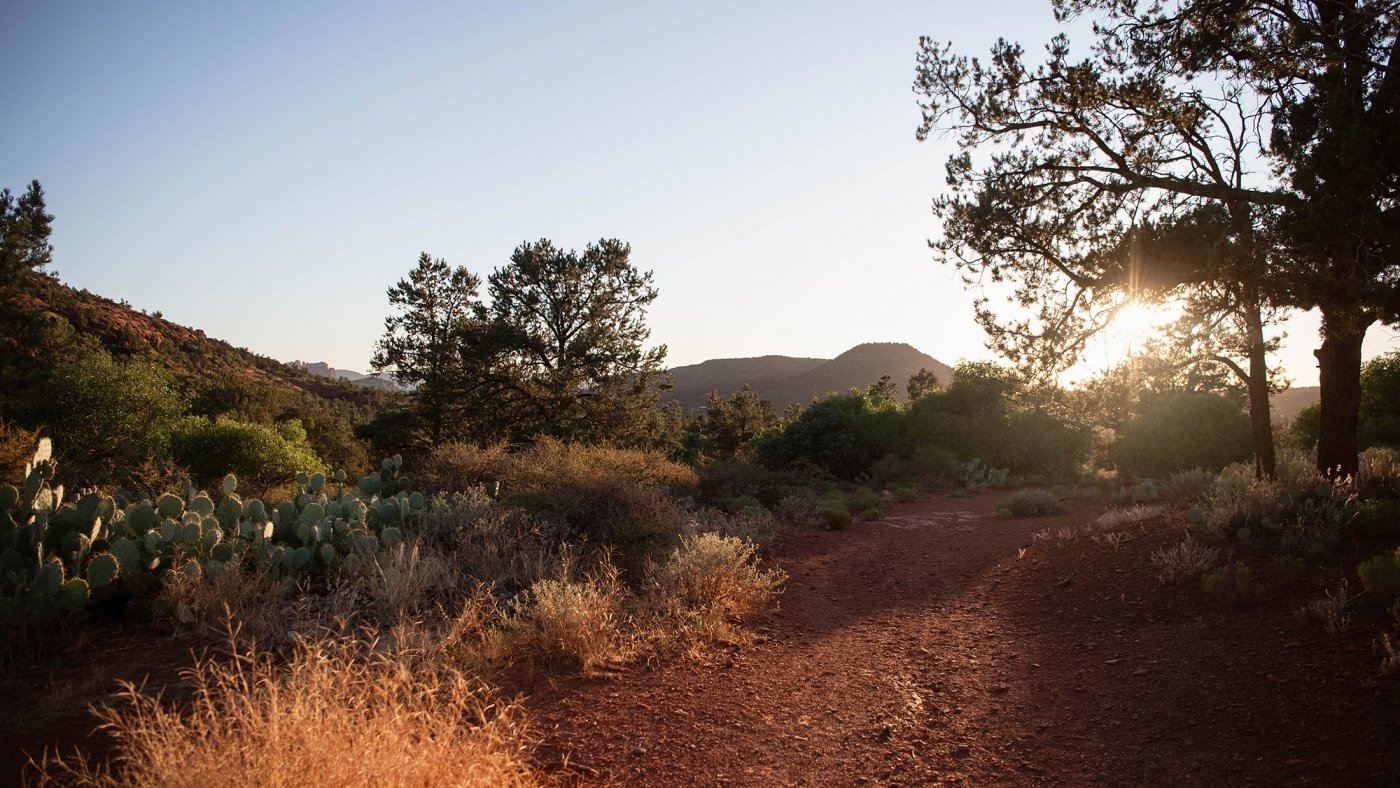 A red dirt hiking trail in Sedona at sunset, winding through desert scrub, cacti, and juniper trees.