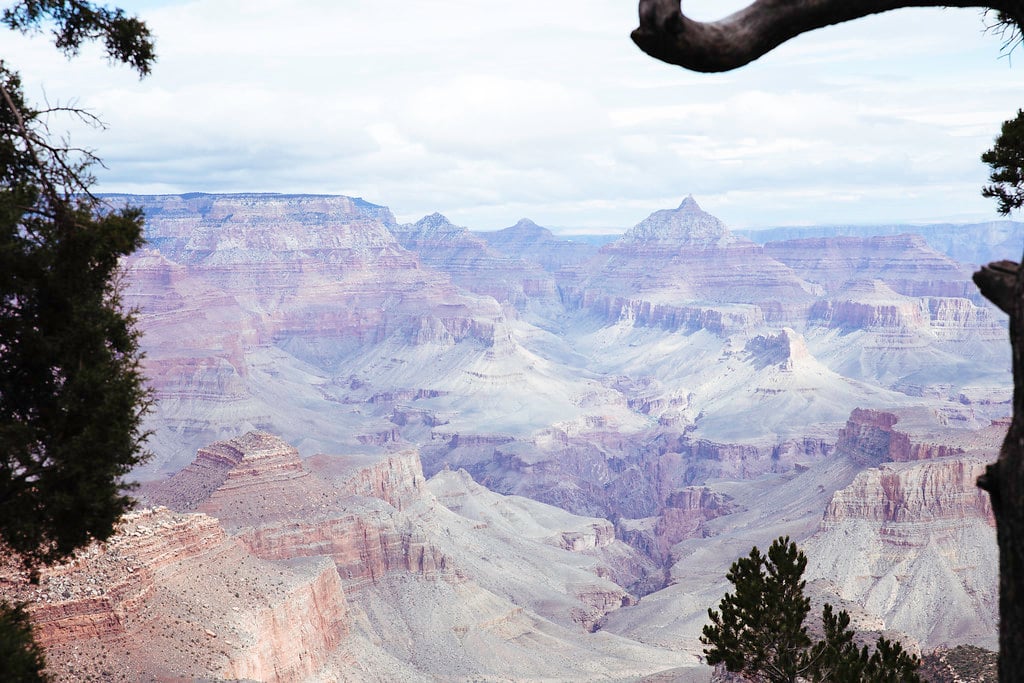 Grand Canyon Framed by Trees