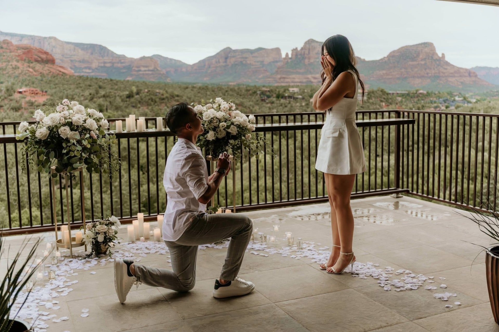 July Proposal at the nest