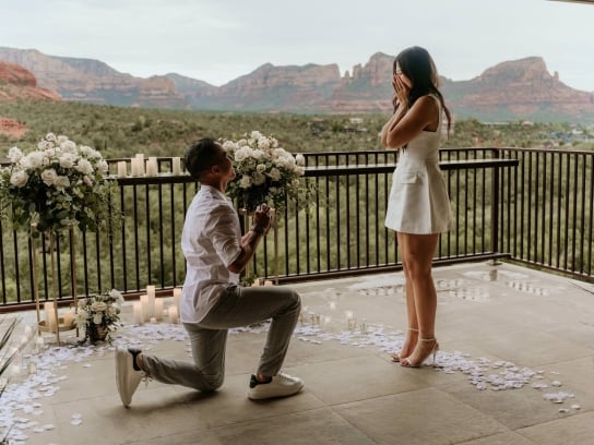 July Proposal at the nest