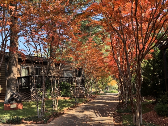 Autumn on property at L'Auberge