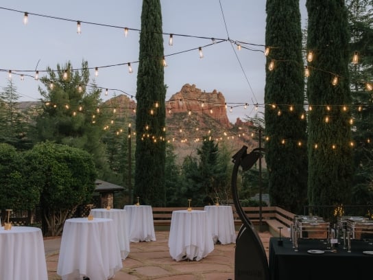 Garden Terrace Reception