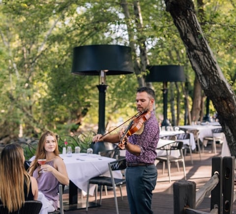 Solo Live Music at Cress