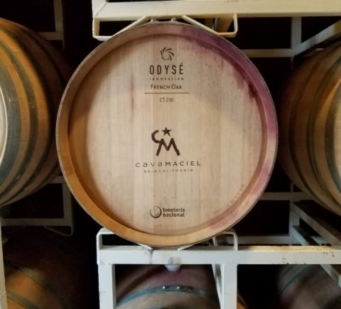 Cava Maciel Wine Barrel